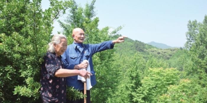 山东六旬夫妻22年植绿一座山