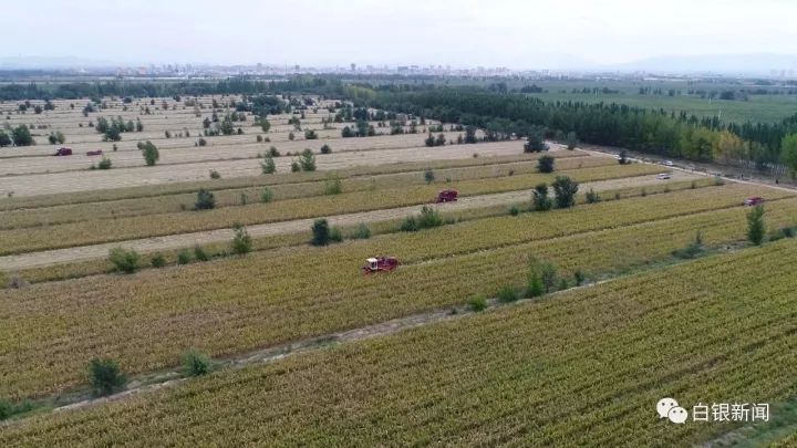 国营西山农场最新项目