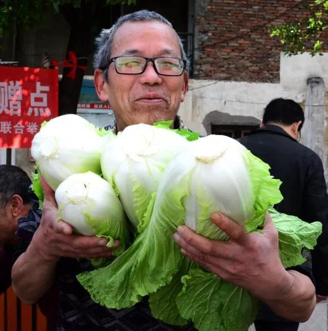 华塘街道最新发展规划概览