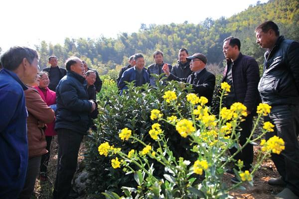 歙县农业农村局最新项目