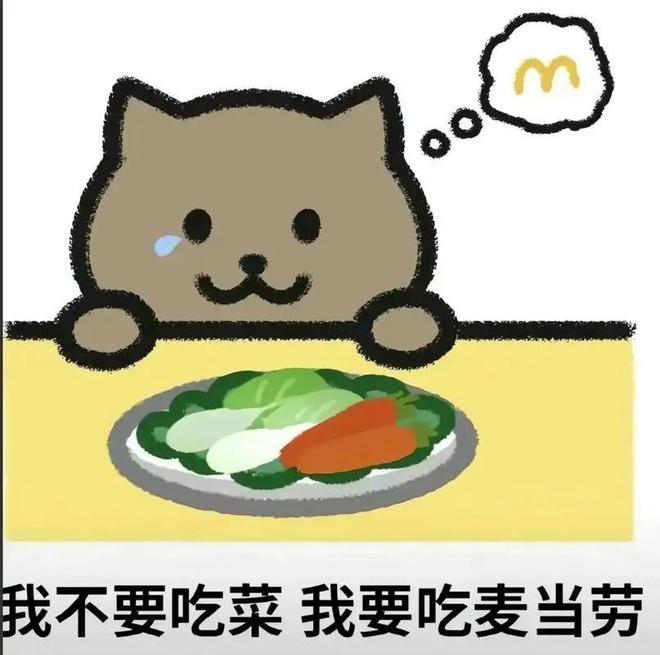 媒体谈胖猫事件中94.6吨食物被浪费