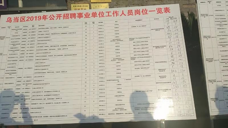 绿园区财政局最新招聘概览