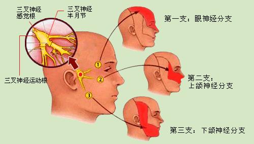 幼儿被携带疱疹病毒的人亲吻后眼睛失明